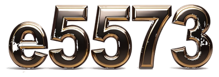 e5573 logo